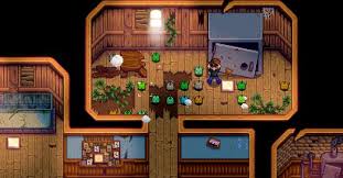 Once you've explored the casino, check out our guide about mr. Stardew Valley The Desert Getting There What You Find