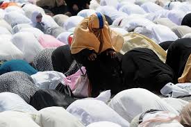 Panduan ini akan menerangkan secara lengkap mengenai cara rukuk dalam solat yang betul dalam solat. Cara Solat Duduk Yang Betul Menurut Jakim