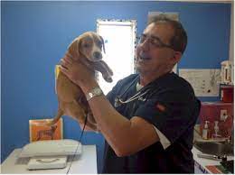 Mayfair John Young Pet Hospital - Home Facebook