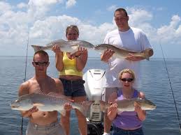 Inshore fishing charters in st. Redfish Fishing Charters Tampa Bay St Pete Clearwater Inshorecharters Com Florida Charter Boat Fishing