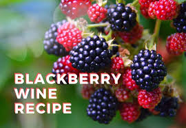 Blackberry Wine Recipe Juicy Full Bodied Red