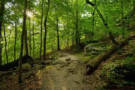 Home of the world's longest cave. Visiting Mammoth Cave National Park Here S Everything You Should See Do Kentucky Tourism State Of Kentucky Visit Kentucky Official Site
