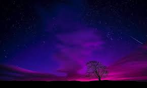 Descargar 1920x1080 estrellas paisajes nocturnos carreteras. Silueta Arbol Durante El Dia Digital Fondos De Pantalla Inglaterra Cielo Nubes Hermoso Tarde Pxfuel