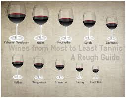 What Is A Tannin Zinfandel Wine Tannin Wine Enthusiast