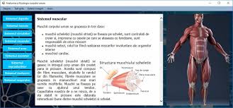 Totalitatea muschilor striati umani contin fusuri musculare (proprioreceptori incapsulati) care sunt. Atestat Informatica Anatomia Si Fiziologia Corpului Uman Atestat Informatica C