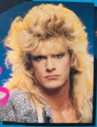 David Joel Discography: Vinyl, CDs, & More