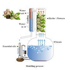 Now take your bucket lid that your not using and inside is a rubber gasket this is perfect and should fit. Distillation Essential Oils Essential Oil Distiller Essential Oils Oils