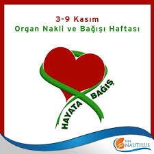 3 9 Kasim Organ Nakli Ve Bagisi Haftasi Anaokulu Oncesi Etkinlikleri Okul Biyoloji