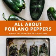 Spread the peppers out on the screens and set the temperature between 125˚f and 135˚f (or per your food dehydrator's instructions). Poblano Peppers And How To Use Them In Recipes Isabel Eats