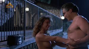 Watch Online - Laura Johnson, Ashlyn Gere – Fatal Instinct (1992) HDTV 1080p