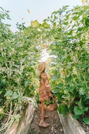 All parks in australia have. Diy Veggie Garden Arch How To Make A Garden Arch Using Reo Mesh Reinforcing Mesh Connie And Luna