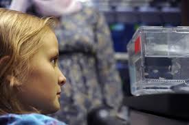 Research Award Will Enhance Understanding of Leukemia