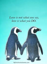 Penguin love is interesting, for sure! Pin By Christine Vez On The Lady In Black Penguin Love Quotes Inspirational Quotes Sweet Love Quotes