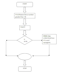 flow chart explaining if and relational operators in ansic