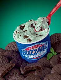 Mint Chocolate Chip Dairy Queen Blizzard Funny Photos