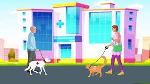 Affordable animal hospital silver lake. Orange County Veterinarian Animal Hospital Orange Ca