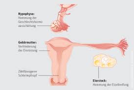 Muss sich der hormonhaushalt nach dem absetzen der pille erst noch umstellen? Antibabypille