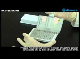 A kiértékelés leírását itt találja: Hcg Elisa Kit Youtube