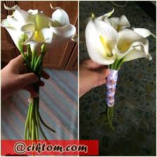 We did not find results for: Diy Bunga Tangan Pengantin Mudah Dan Murah Ciktom