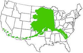 Due to the popularity of the usa among all over the world, nearly every people want to know about the usa, there are too many histories and quiz questions exist on the internet about america, by keeping the requirement of the readers in mind, we crafted this post especially for our readers.in which we included new questions for you. Facts About Alaska Alaska Kids Corner State Of Alaska