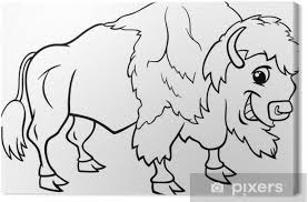 The spruce / miguel co these thanksgiving coloring pages can be printed off in minutes, making them a quick activ. Bison American Buffalo Coloring Page Canvas Print Pixers We Live To Change