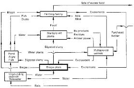 biogas plants in animal husbandry 3 the agricultural