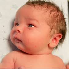 Reitz Memorial High School