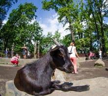 Odstranění fotek a videí z alba. Zoo Ostrava Priroda Na Dosah