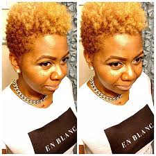Women around the world crave for short natural african american hairstyles. 20 Short Natural Hairstyles For Black Women Short Hairstyles Haircuts 2019 2020