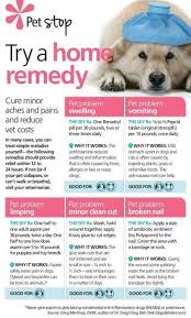 Dog Home Remedy Suggestion In 2020 Pet Health Essential Oils Dogs Dog Tags Pet