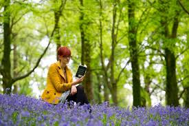 For holidays falling on sunday, most bank offices will be closed the following monday. Here Are The Dates For The Bank Holidays In 2016 Wales Online