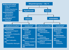 Fieber Bei Intensivpatienten Springerlink