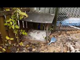 Nous saupoudrons le tout de quelques conseils d'hygiène et de santé pour une recette parfaite. La Litiere Exterieure Pour Chats Youtube