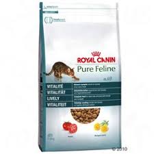 Goody Yavru Kedi Mamasi 2 5 Kg 2129 Goody Yavru Kedi Mamasi 2 5 Kg 2129 Cat Food Cats Ve Pets