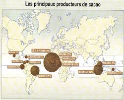Epingle Sur Cacao