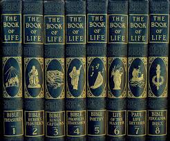 100 bible verses about lambs book of life. The Book Of Life 1 Bible Treasures 2 Bible Heroes Pioneers 3 Bible Kings Captains 4 Bible Prophets Statemens 5 Bible Poetry 6 Life Of The Master 7 Paul Life Letters 8 Bible Educator Index By Hall Newton