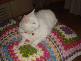 kedi yatagi quilts pets cats cats