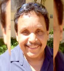 Beekeeper to pay sting bill