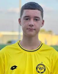 ההתאחדות לכדורגל בישראל