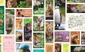 How To Find Your Verbal Identity Chester Zoo Zoo Chester