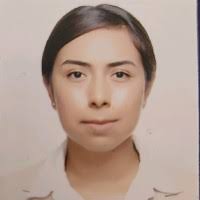 50+ "Gamiño Ramirez" profiles