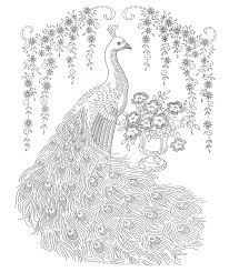 Peacock Coloring Pages Free Coloring Pages Of Peacock For Drawing Jpg 2563 3043 Peacock Coloring Pages Vintage Embroidery Embroidery Patterns