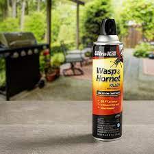 Ultra Kill Wasp And Hornet 17 Oz Insect Killer In The Pesticides Department At Lowes Com