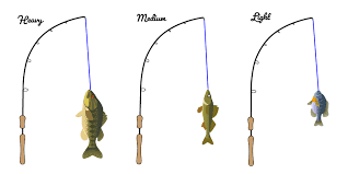 Fishing Rod Action Power Choose The Best Rod For You