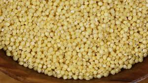 Image result for MILLET