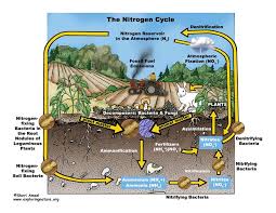 Water cycle this water cycle booklet is a fun hands on activity for students to use in their interactive notebooks. Gallery Of Full Sized Full Color Art For Licensing Br Science Concepts