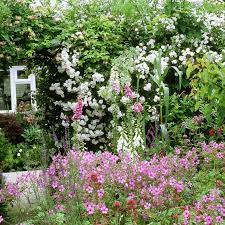 Add one or two of these to your cottage garden to complement the plants and to add even more character. Plants For A Traditional Cottage Garden