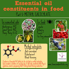 methyl salicylate essential oil constituents in food part 5