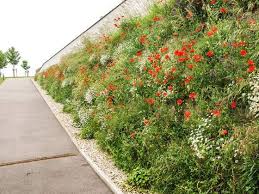 Le Pamphlet Jardin Archives Page 2 Sur 11 Fleurs Sauvages Jardin Pour Enfants Jardins