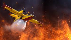 Image result for Orange 1984 Fleet